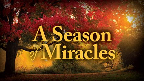 Heartfelt Hopes for a Season of Miracles