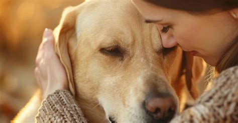 Heartfelt Messages for Your Soul-Mutt