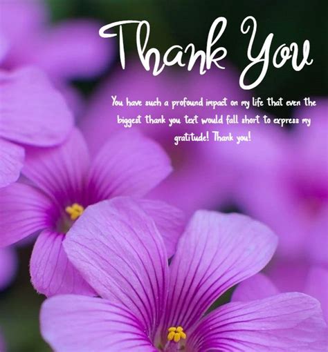 Heartfelt Messages of Gratitude & Thanks