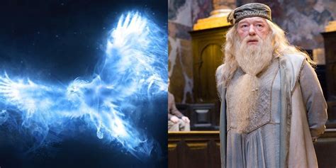 Heartfelt Patronus Charms & Dumbledore's Wisdom
