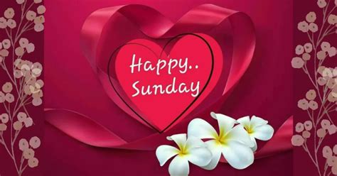 Heartfelt & Romantic Sunday Wishes for Your Love
