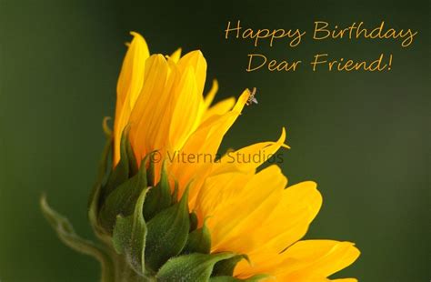Heartfelt Sunflower Wishes for a Dear Friend
