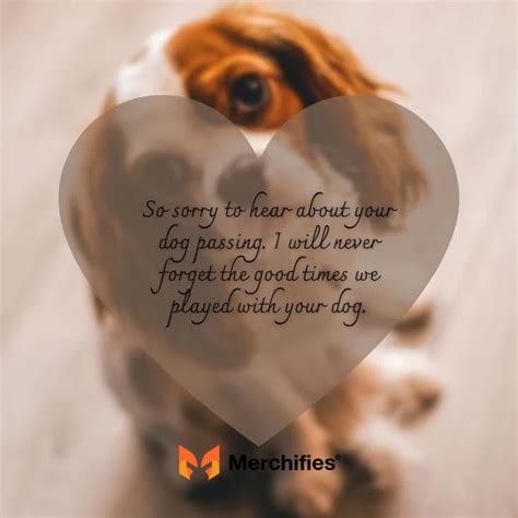 Heartfelt Sympathy Messages for the Loss of a Dog