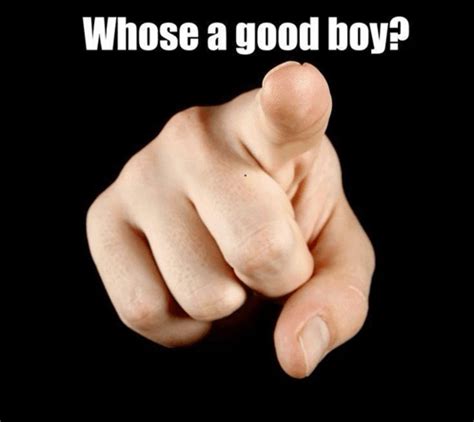 Heartfelt 'Who's a Good Boy?!' Messages