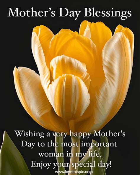 Heartfelt Wishes for the Important Women in Your Life (Family & Friends)