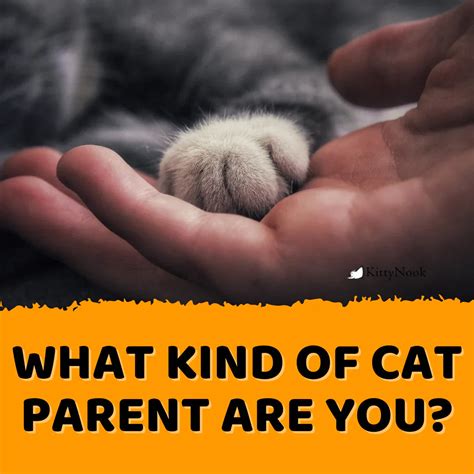 Heartfelt Wishes for the Kindest Cat Parent