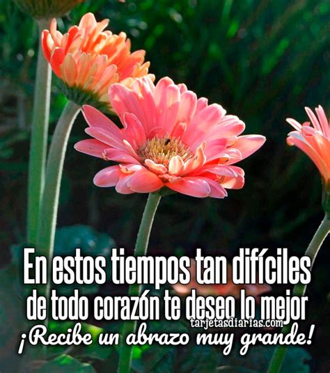 Heartfelt Wishes for Tough Times (Deseos de Corazón para Momentos Difíciles)