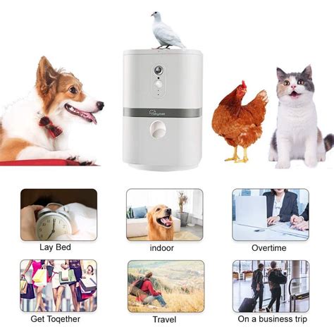 Hilarious Wishes from the Two-Legged Treat Dispenser