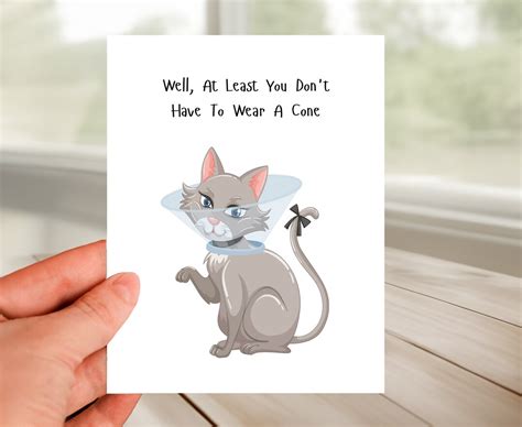 Humorous & Playful Wishes