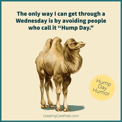 Hump Day Humor: Funny & Witty Wednesday Wishes