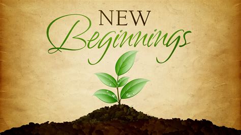 I Wish... Into the Woods: 50+ Perfect Messages for Every Journey, Crossroads, and New Beginning
