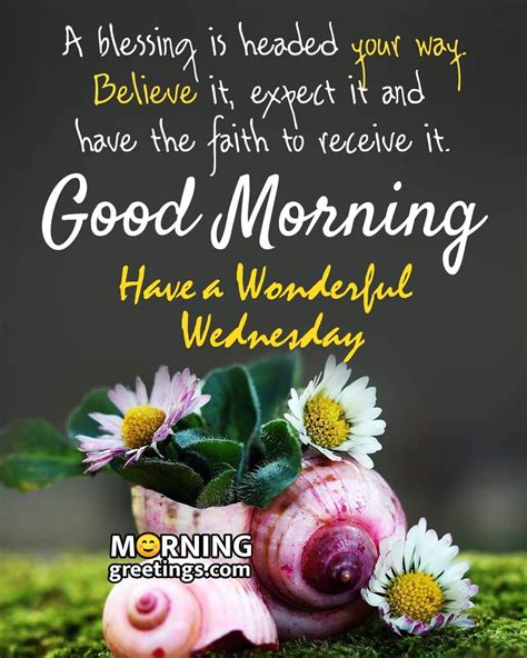 Inspirational & Reflective Wednesday Morning Thoughts