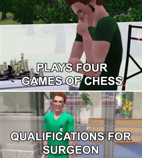 Inspired by Sims 3 Chaos (Funny & Random Wishes)