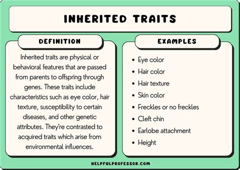 It’s All in the Genes: Jokes About What You Inherited