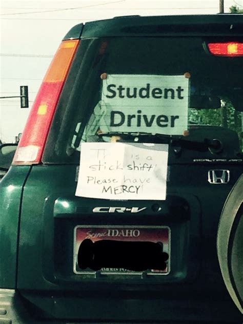 Jokes for the Almost-Driver (Learner's Permit Humor)