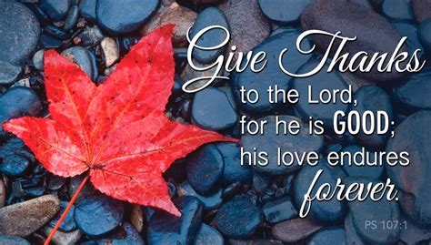 Joyful Praise & Thanksgiving on Your Birthday