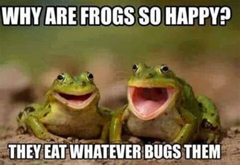 Just-Because Pooshes to Brighten Their Day