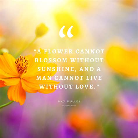 Just Because You're Blooming: Short & Sweet Notes of Encouragement