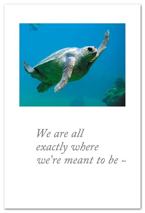Just Keep Swimming (Messages of Encouragement & Support)