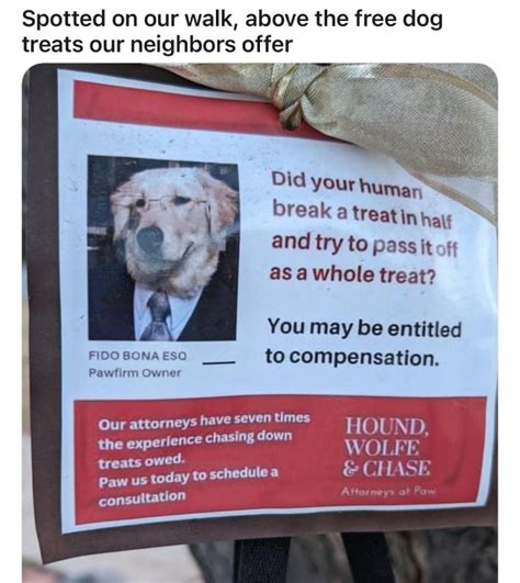 Lawyer-Approved Wishes to Outsmart the Paw