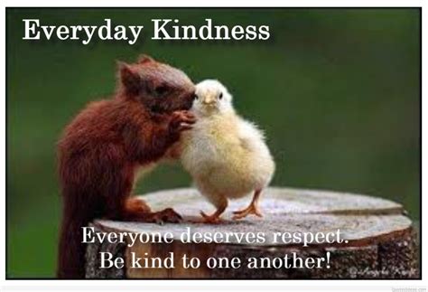 Lighthearted & Respectfully Humorous