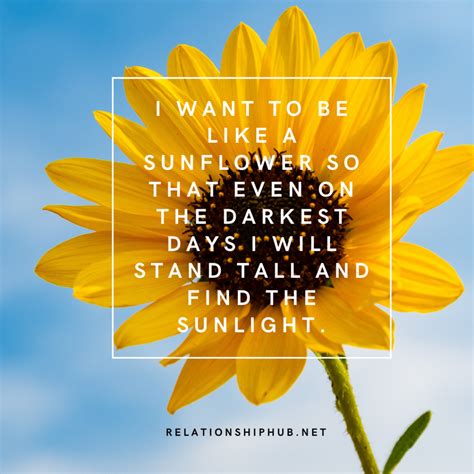 "Like a Sunflower" - Wishes About Growth & Radiance