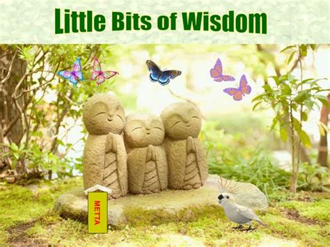 Little Bits of Wisdom & Encouragement