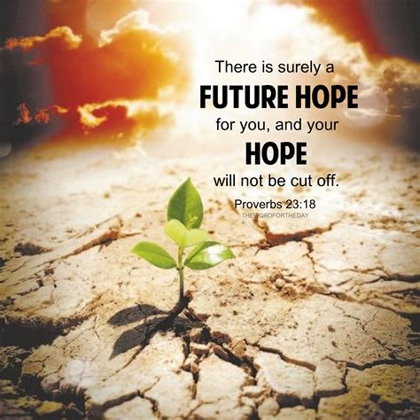 Looking Ahead: Inspirational & Hopeful Wishes (Deseos de Inspiración y Esperanza)