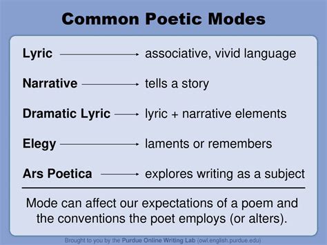 Lyrical Laments & Poetic Fragments