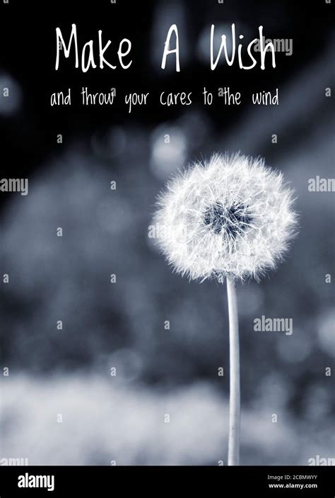 Messages for Making a Wish