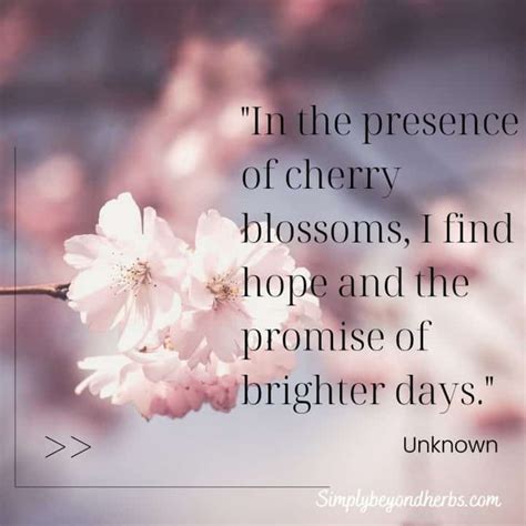 Messages for Your Blossoming Potential