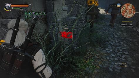 Messages Forged in Witcher Lingo
