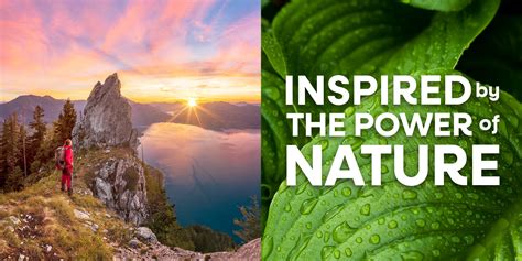 Messages Inspired by Nature's Awakening