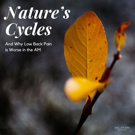 Messages Inspired by Nature's Cycles