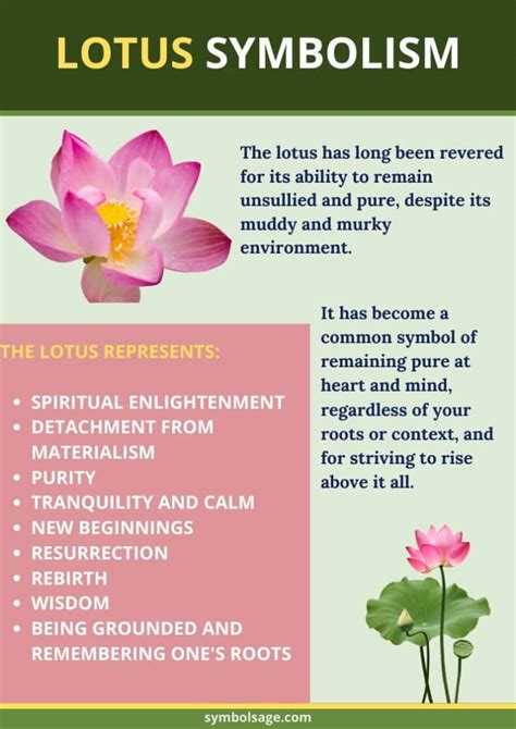 Messages Inspired by the Symbolism of Flowers