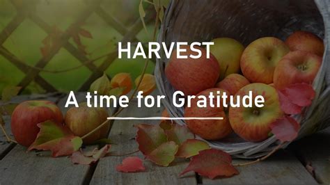 Messages of Gratitude and Harvest