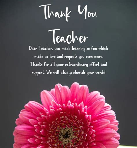 Messages of Gratitude: For Teachers & Professors