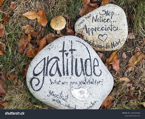 Messages of Gratitude for the Rock You Are