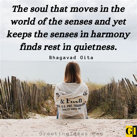 Messages of Gratitude & Inner Peace: Finding Stillness in the Desert