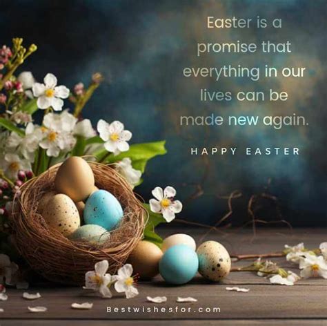 Messages of Hope Looking Forward to Easter's Joy