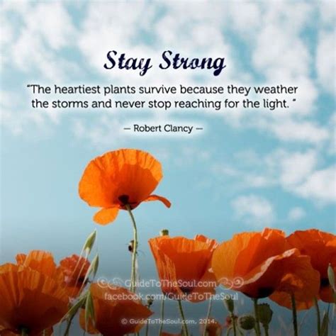 Messages of Hope, Strength & Healing