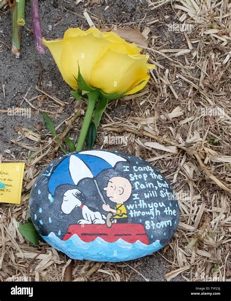 Messages of Solidarity for the Parkland Community