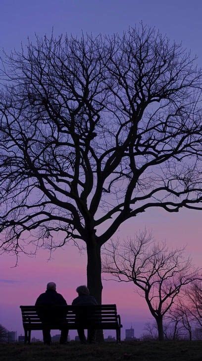 Moments of Quiet Peace: Sharing a Glimpse of Serenity