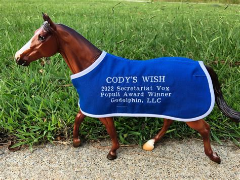 More Than a Race: 40+ Heartfelt "Cody's Wish" Messages for Hope, Strength, and Remembrance