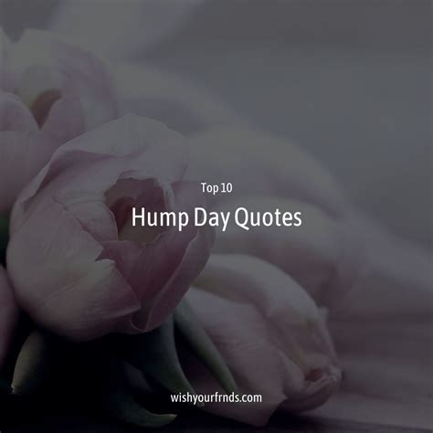 Motivational "Hump Day" Boosters