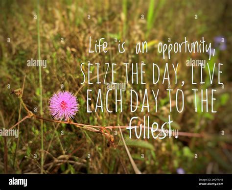 Motivational Messages to Seize the Day