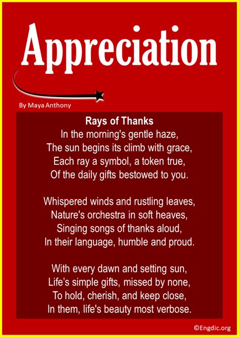 My Queen, My Anchor, My Everything: Wishes of Gratitude & Admiration