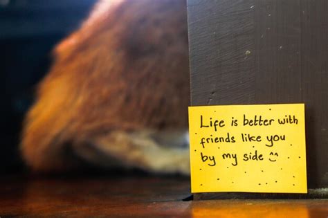 Notes on Friendship, from Willa's Garden