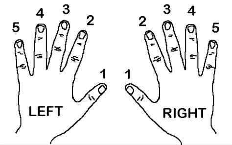 Numbered Fingerings for Effortless Playing