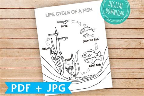 Odes to the Simple, Thought-Free Life of a Fish